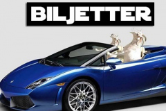 ordvits-bil-jetter