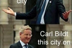 ordvits-bildt