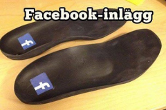ordvits-facebookinlagg
