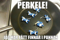 ordvits-finnar-i-pannan