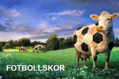 ordvits-fotbollskor