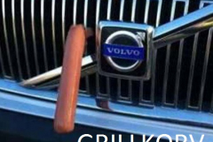 ordvits-grillkorv