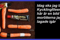 ordvits-laga-mat