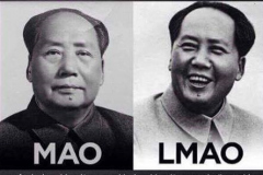 ordvits-mao-lmao