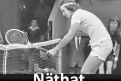 ordvits-nathat