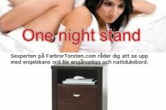 ordvits-onenightstand