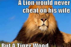 ordvits-tiger-wood
