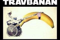ordvits-travbanan