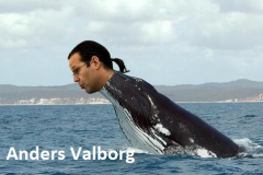 ordvits-valborg